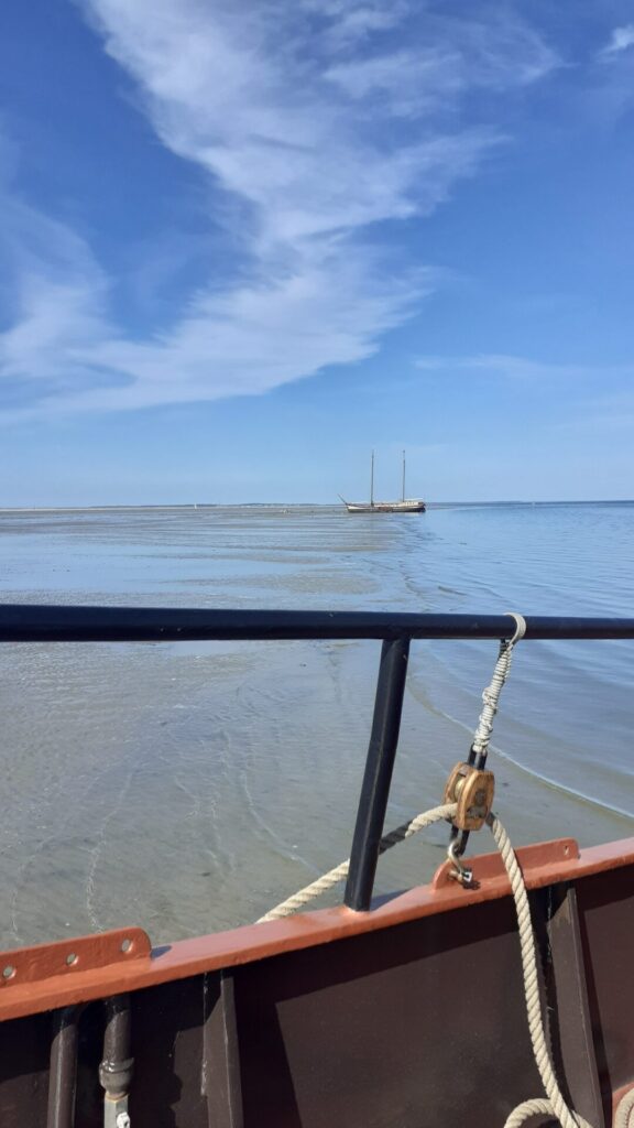 foto genomen vanaf het schip, je ziet de reling op de voorgrond en en dan links het droge wad en rechts het water, de grens van droog en water loopt naar de verte waar een ander schip ook droog ligt